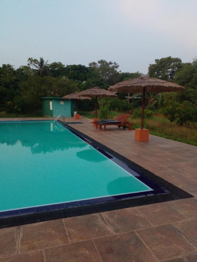 Sigiriya Peacock Homestay Bagian luar foto