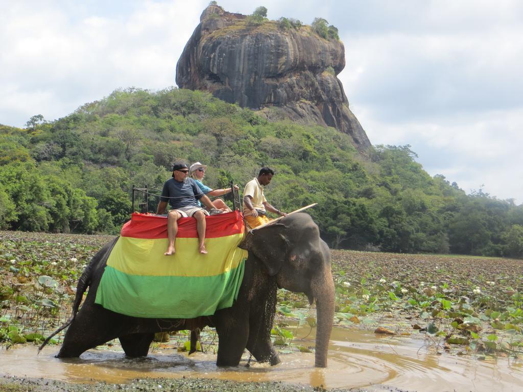 Sigiriya Peacock Homestay Bagian luar foto