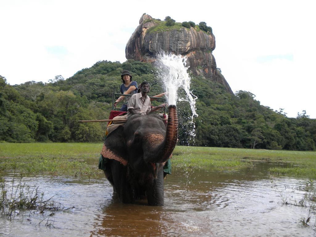 Sigiriya Peacock Homestay Bagian luar foto