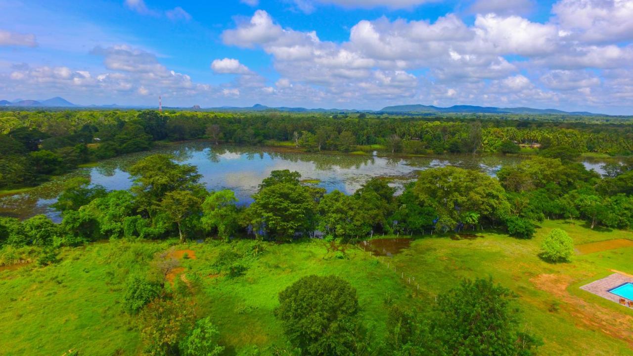 Sigiriya Peacock Homestay Bagian luar foto